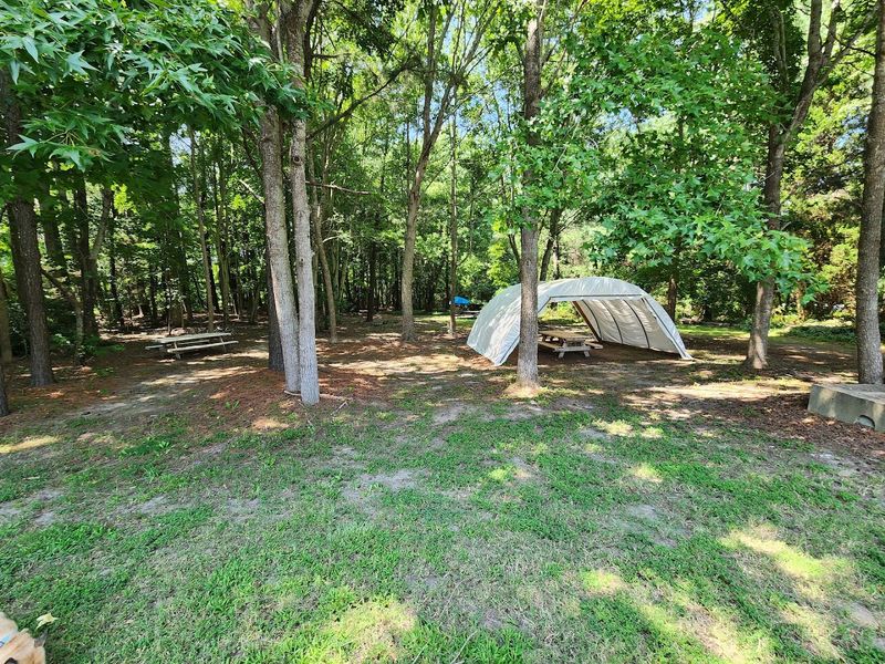 Live Music and Outdoor Picnic Tables Set the Scene