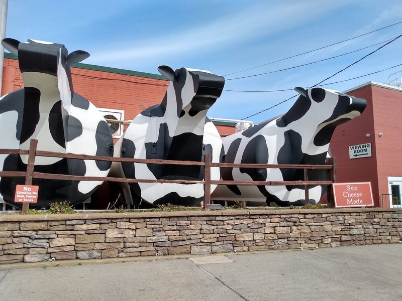 Local Cheese and Farm-Fresh Food Culture