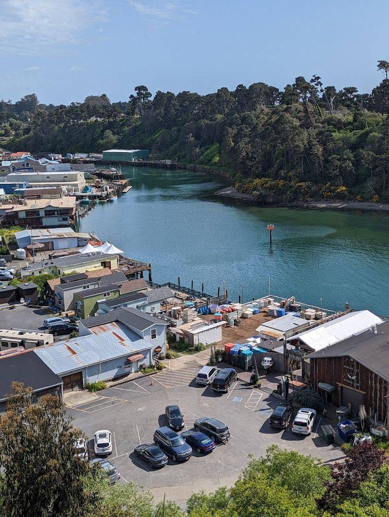 Local Seafood Dining: Fresh Catches That Speak for Themselves Local Seafood Dining: Fresh Catches That Speak for Themselves