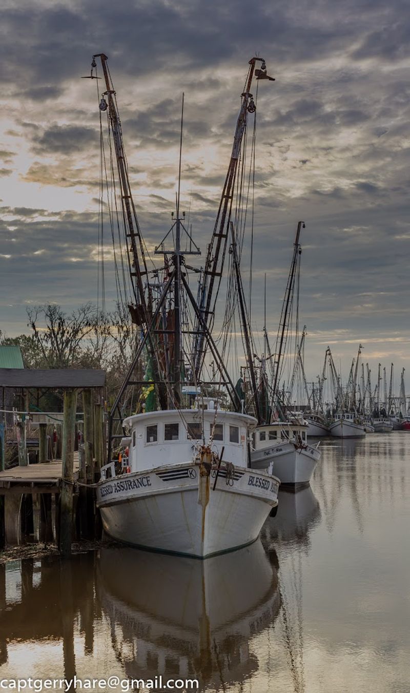 Local Seafood Restaurants That Deliver the Real Thing
