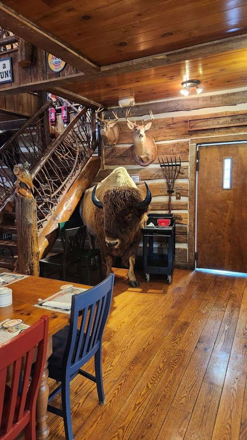Locally Sourced Bison Meat You Won't Forget