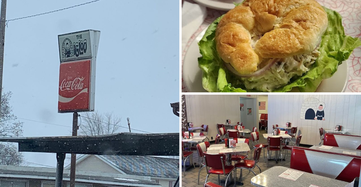 Locals Cant Stop Recommending The Homemade Chicken Salad Sandwich At This Beloved Illinois Diner