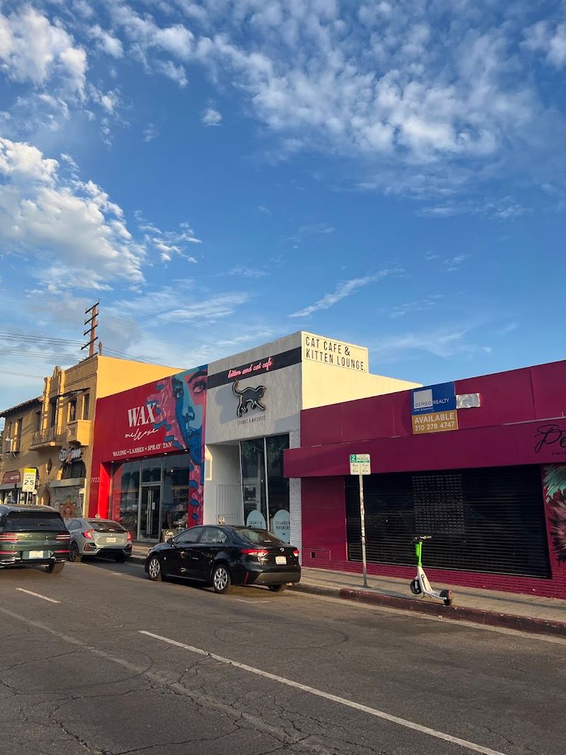 Located Right on Iconic Melrose Avenue
