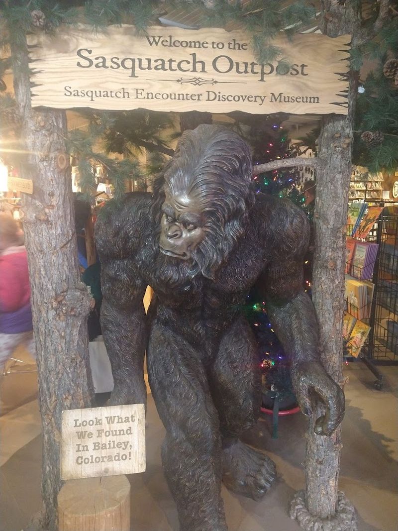 Located in the Charming Mountain Town of Bailey