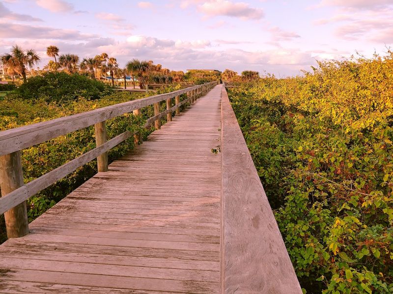 Lori Wilson Park: Nature's Quiet Corner