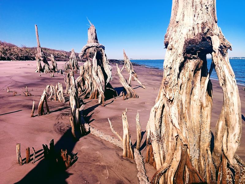 Low Tide Reveals the Beach at Its Best