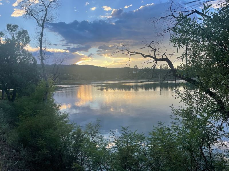 Lynx Lake: Fishing and Camping in the Pines