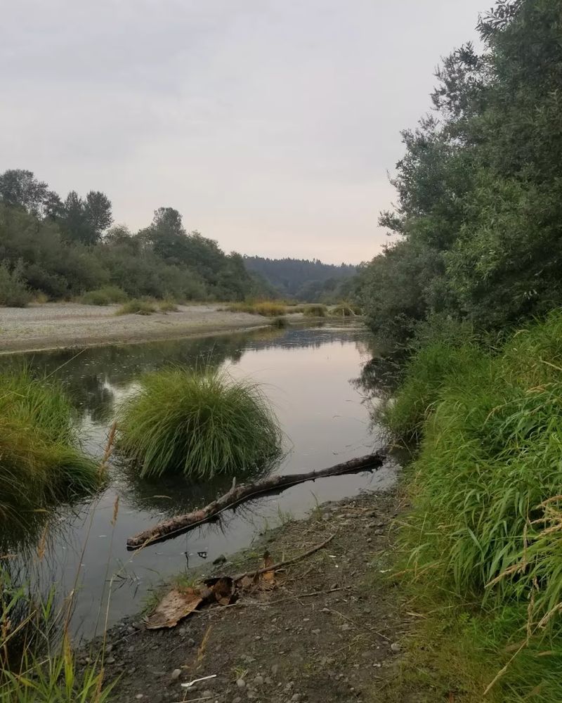 Mad River Beach County Park