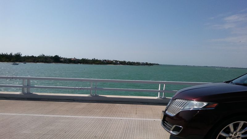 Manatee Sightings in the Warm Shallow Waters