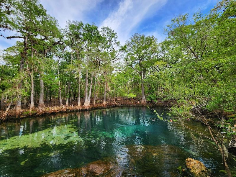 Manatee Springs State Park - Chiefland, Florida