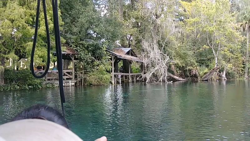 Manatee Watching Up Close