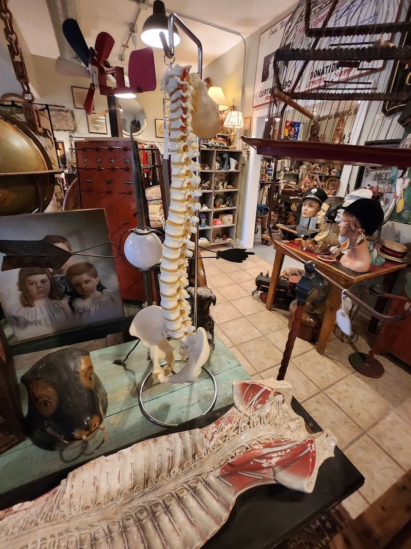 Medical Antiques That Fascinate History Buffs