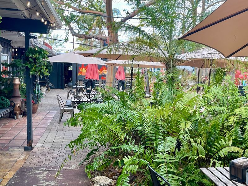 Meet Freddie Mercury — The Café's Beloved Resident Rooster