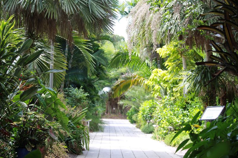 Membership Perks That Make Every Return Visit Even Sweeter