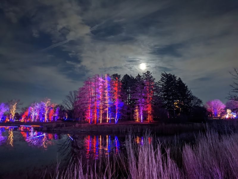Membership Perks That Make Every Visit Even Better
