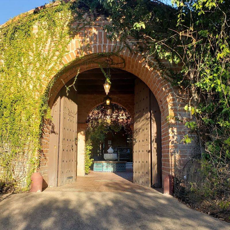 Membership Perks That Make Every Visit Sweeter