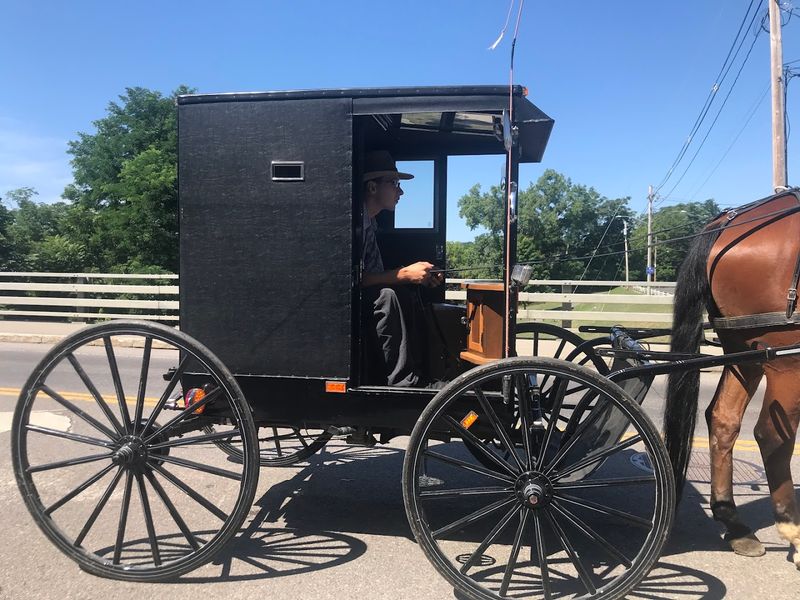 Mennonite Community and Farm Stands