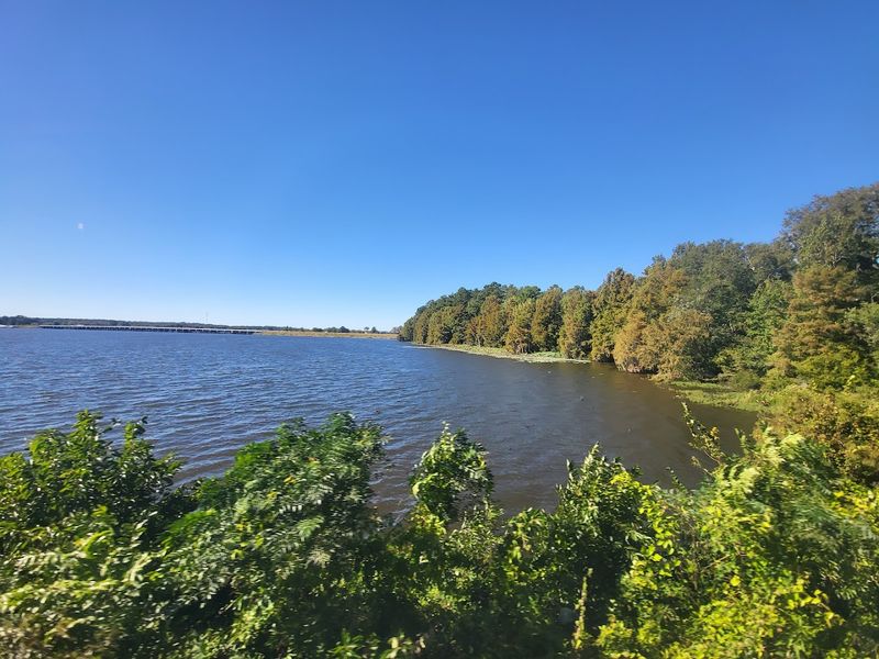 Mild Climate That Makes Outdoor Life Easy
