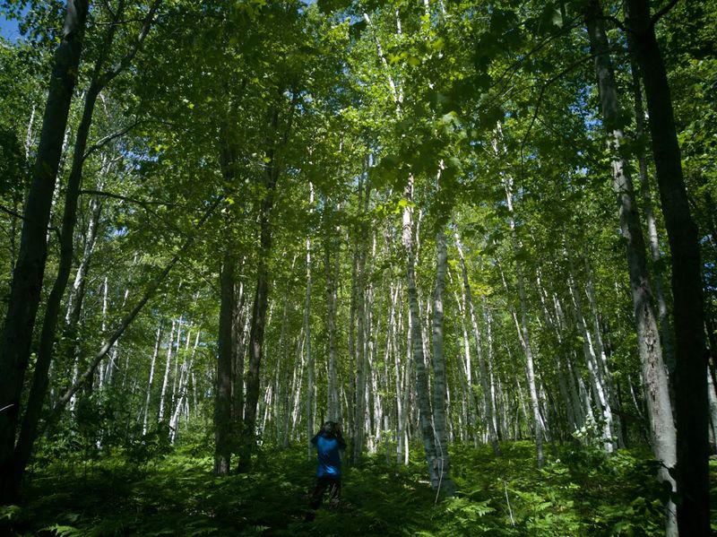 Miles of Hiking Trails Through Stunning Wilderness
