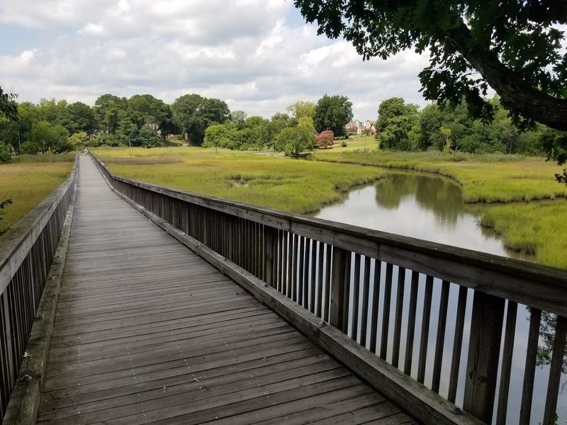 Miles of Scenic Walking Trails