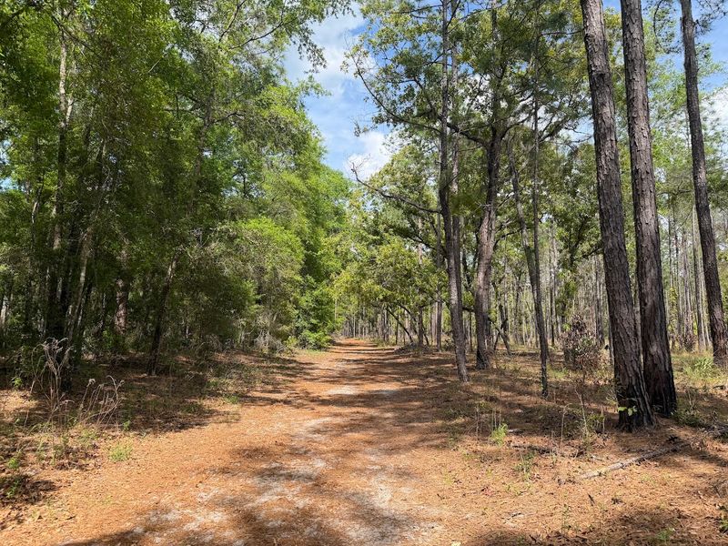 Miles of Well-Maintained Hiking Trails Miles of Well-Maintained Hiking Trails