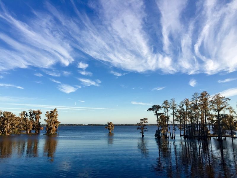 Minneola: Clermont's Charming Neighbor Worth Exploring