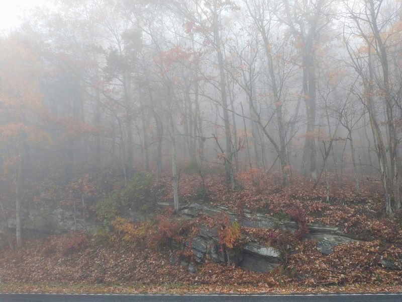 Misty Morning Fog and Dramatic Cloud Views