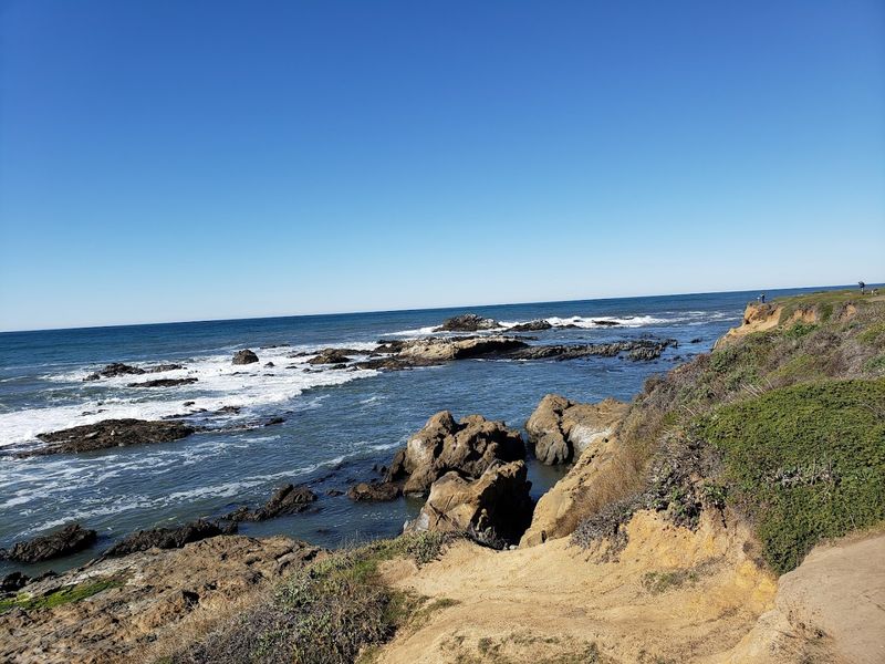 Monterey Bay Aquarium: World-Class Marine Wonder