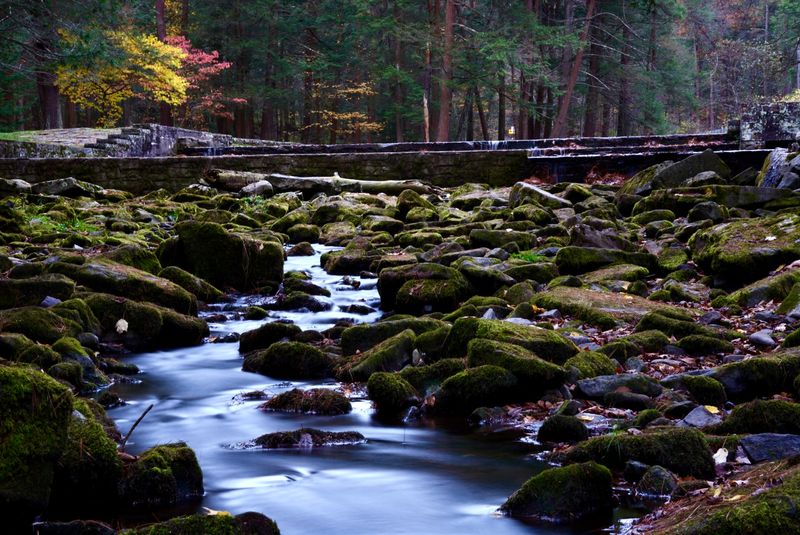 Moss-Covered Rocks That Look Straight Out of a Fairy Tale