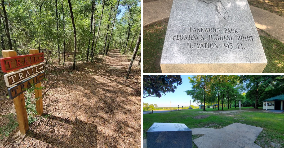 Most People Dont Realize This Little Known Hill Is Floridas Highest Natural Point