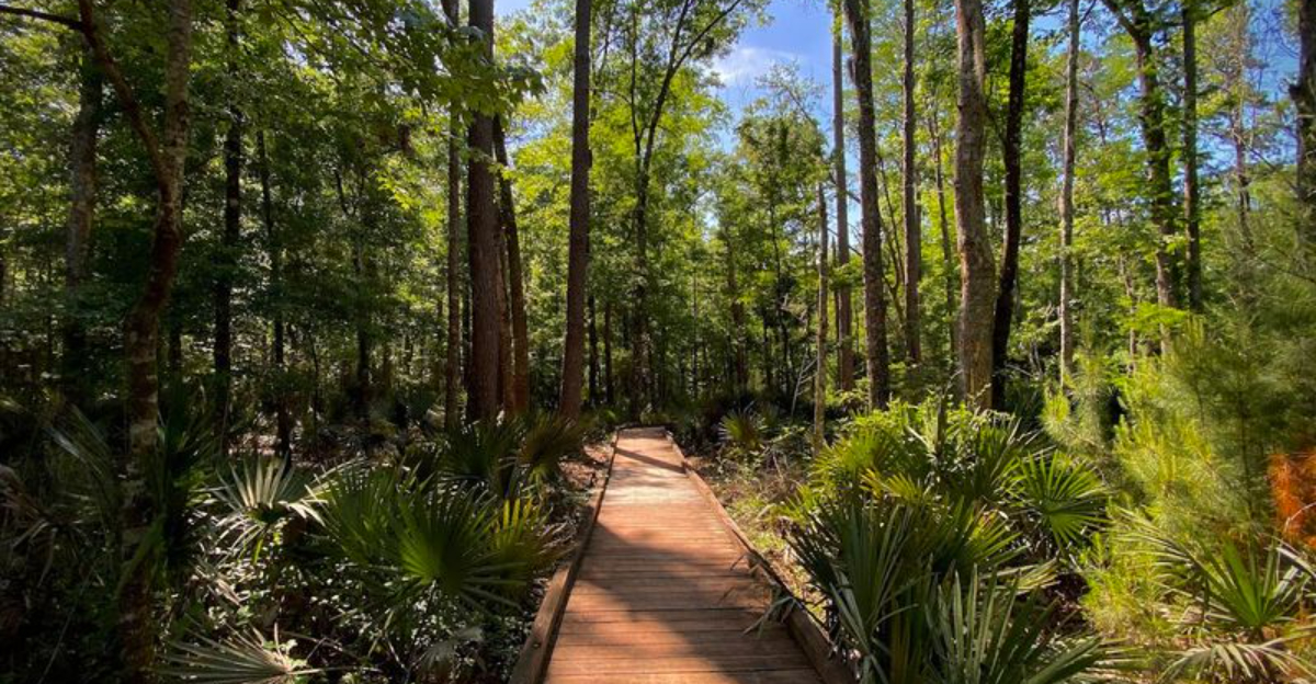 Most People Have Never Heard Of This Breathtaking 3.6 Mile Trail Hidden In South Carolina