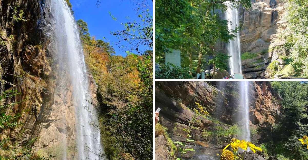 Most Travelers Never Notice The Stunning 186-Foot Waterfall That Might Be Georgia’s Most Overlooked Natural Wonder