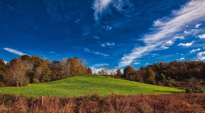 Mount Rogers National Recreation Area: Wild Ponies and High Peaks