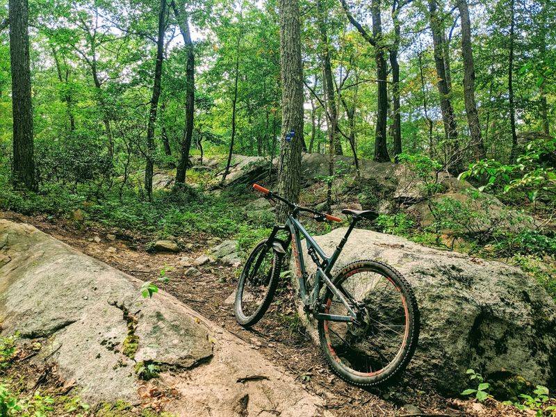 Mountain Biking Opportunities