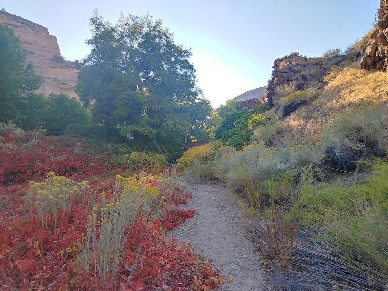 Mountain Biking Trails Built for Serious Fun