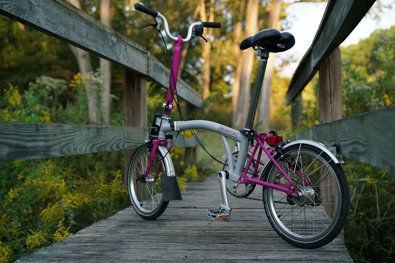 Mountain Biking Trails That Impress Even the Pros