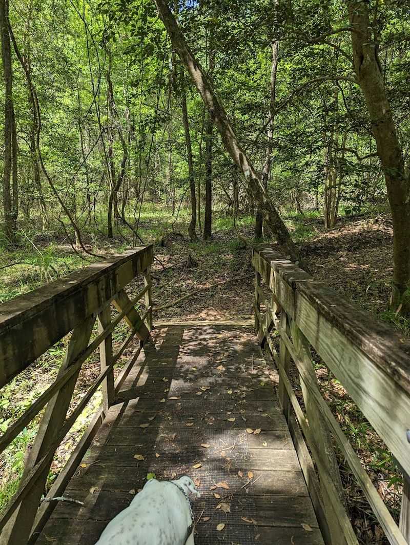 Mountain Biking Trails That Surprise Everyone
