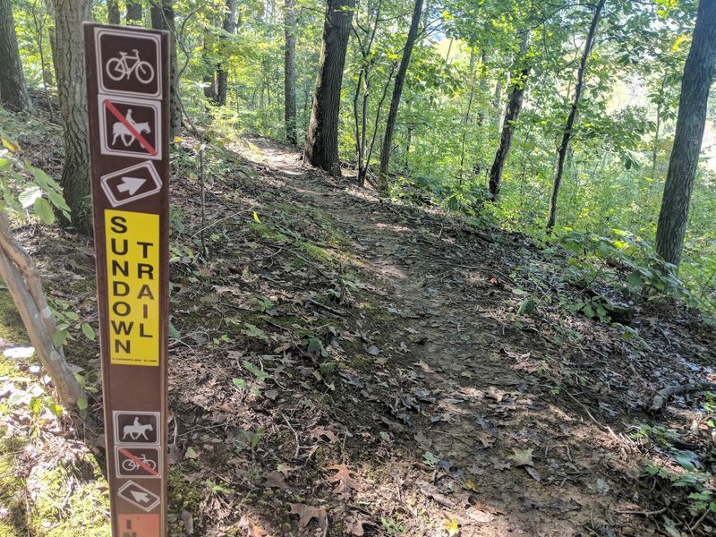 Mountain Biking Trails for the More Adventurous Visitor Mountain Biking Trails for the More Adventurous Visitor