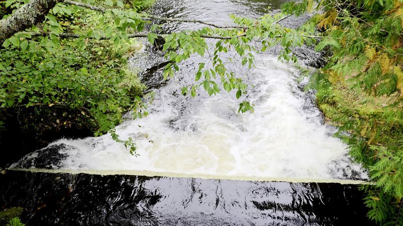 Multiple Cascades Along a Quarter-Mile Stretch