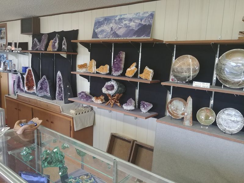 Museum-Quality Specimens You Can Actually Buy
