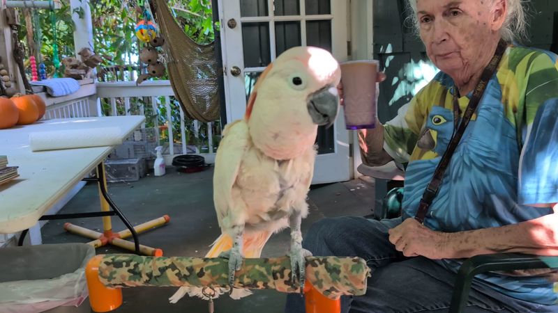 Nancy Forrester: The Heart Behind the Garden