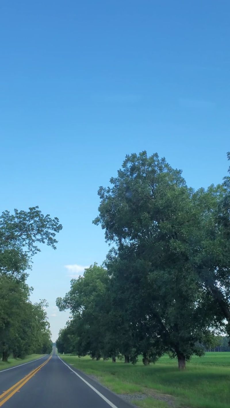 Natural Beauty That Invites You to Slow Down