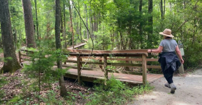 Nature Lovers Say This Scenic 3.6-Mile Trail Is One Of South Carolina’s Best Hidden Hiking Adventures