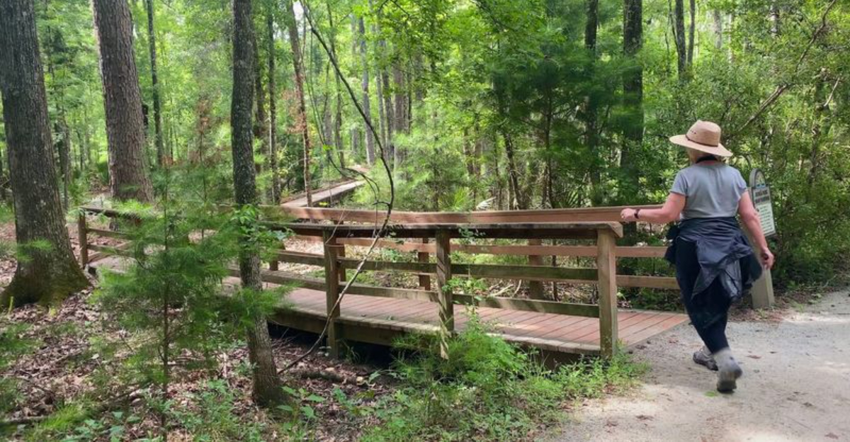 Nature Lovers Say This Scenic 3.6 Mile Trail Is One Of South Carolinas Best Hidden Hiking Adventures
