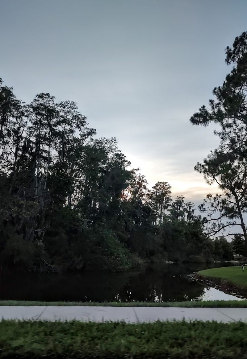Nature Preserves and Wildlife That Surround the Town