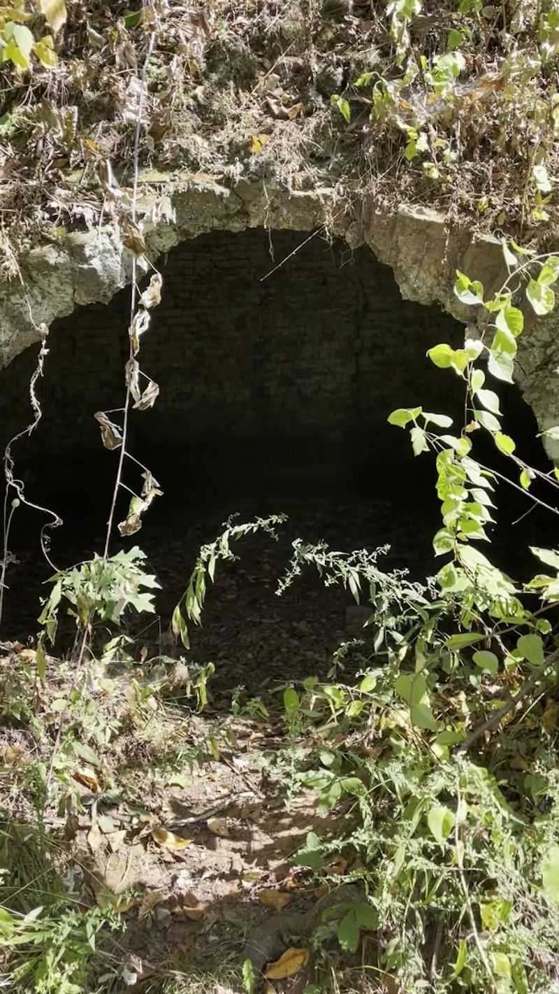 Nature Slowly Reclaiming the Old Industrial Site