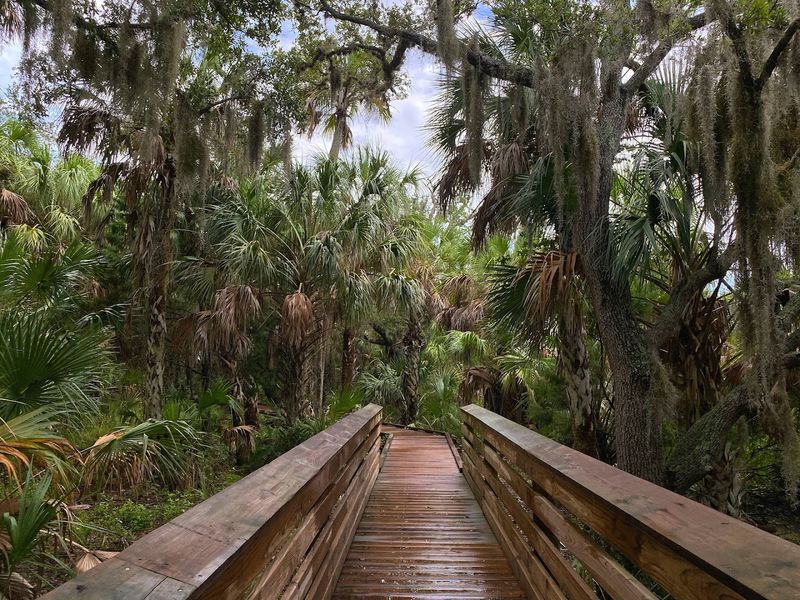 Nature Trails That Reward Curious Explorers Nature Trails That Reward Curious Explorers