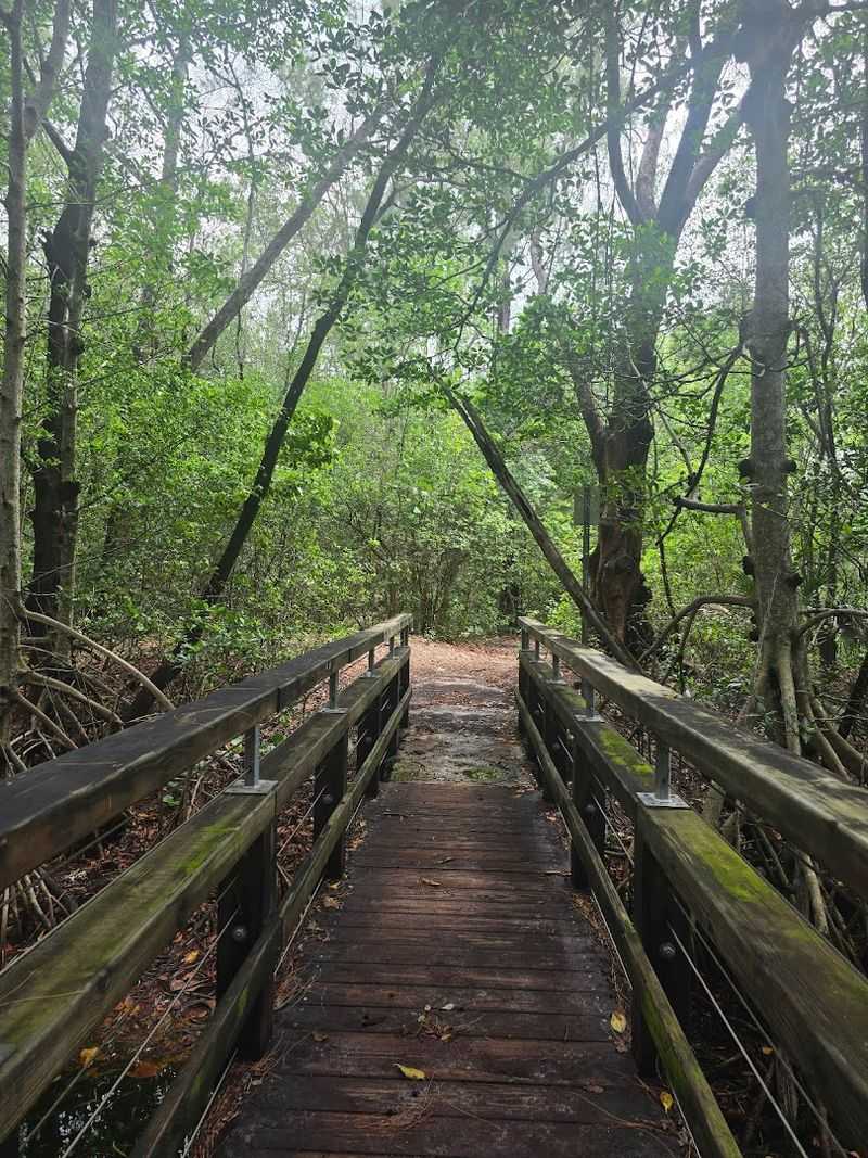 Nature Trails for Every Explorer
