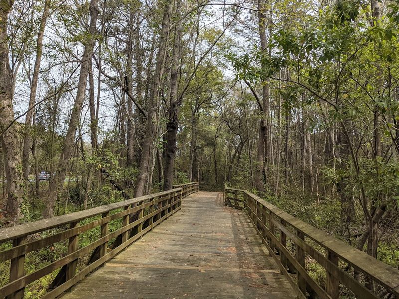 Nature Trails for Every Type of Explorer