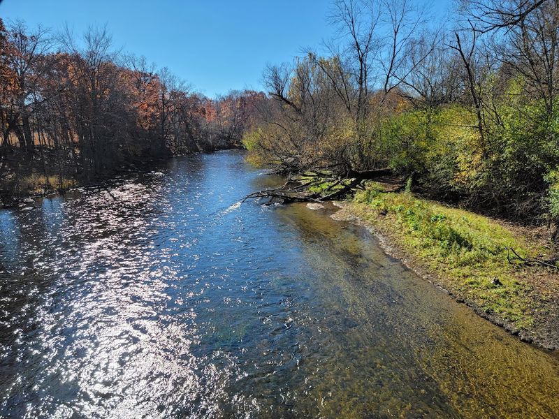 Nature Walks and Outdoor Spaces That Cost Nothing